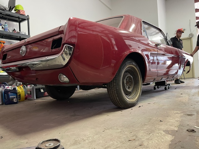 1966 MUSTANG