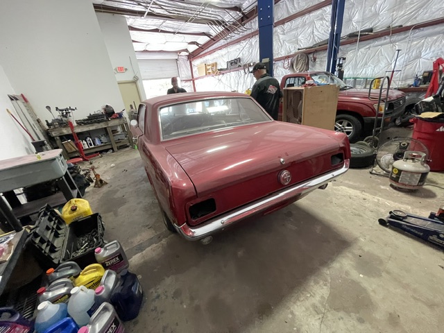 1966 MUSTANG